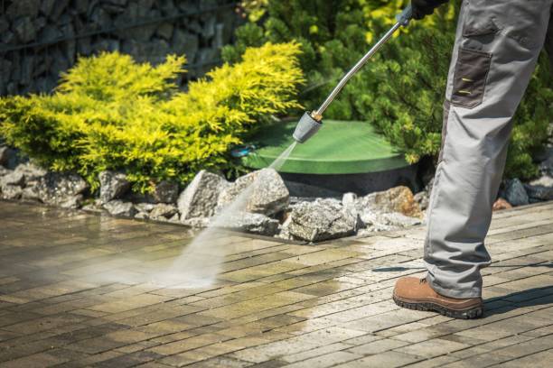 Best Sidewalk and Walkway Cleaning  in Casey, IL