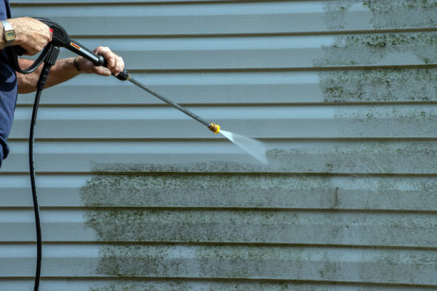 Best Graffiti Removal  in Casey, IL